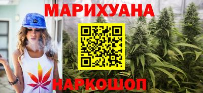 прущие грибы Малгобек