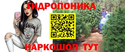 прущие грибы Малгобек