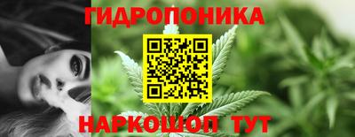 прущие грибы Малгобек