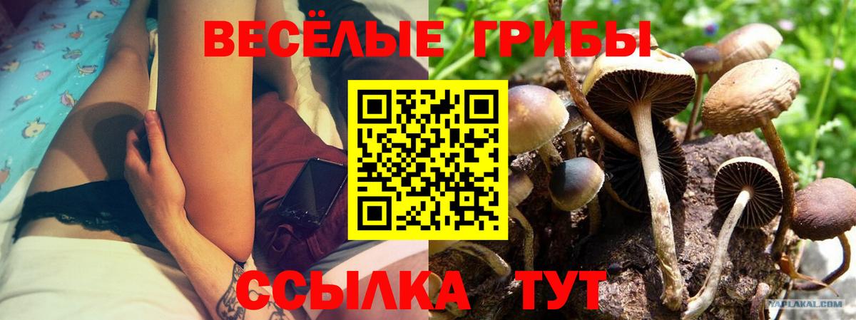 Галлюциногенные грибы Magic Shrooms Горно-Алтайск